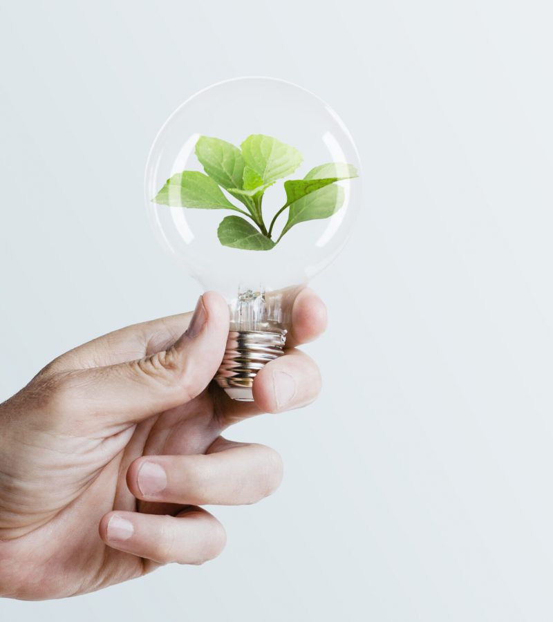 Sustainable energy campaign hand holding tree light bulb media remix